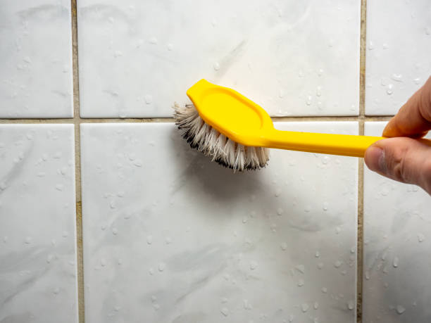 Professional Mold Removal in Watertown, FL