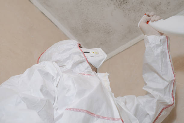 Mold Testing and Removal in Watertown, FL